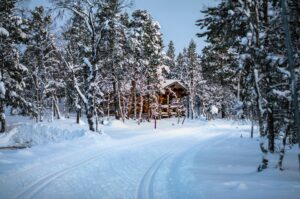 Read more about the article Learn about the diet of Eskimos